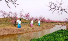 小姐姐泗阳,探寻江南水乡的美丽传说