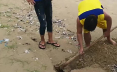 小姐姐溜螃蟹视频大全,小姐姐带你领略溜螃蟹视频大全魅力